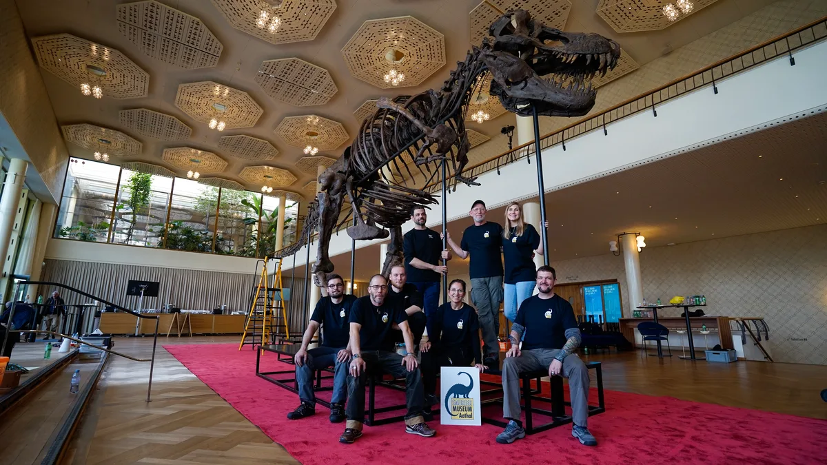 Mitarbeitende des Sauriermuseums Aathal halfen beim Aufbau von Trinity in der Tonhalle Zürich. Mehrere Menschen vor einem aufgebauten T-Rex-Skelett.